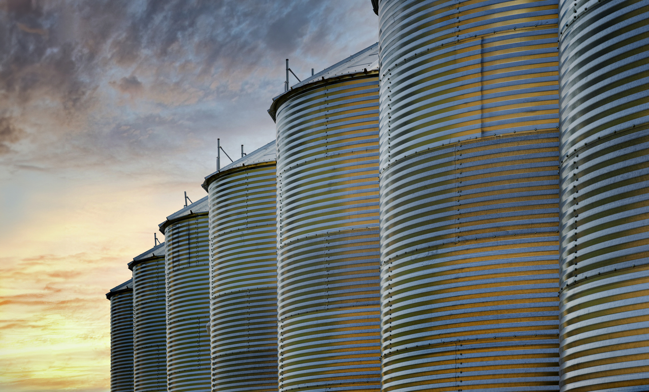 Disinfestazione e sanificazione dei silos